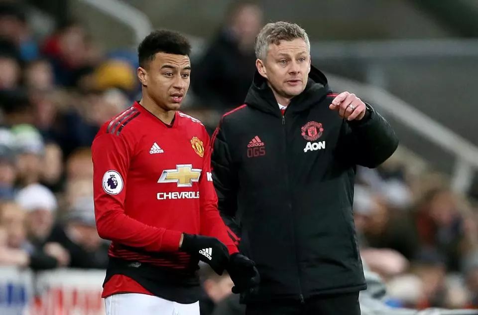 训练和恢复 训练和恢复